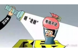 镇平专业讨债公司有哪些核心服务？